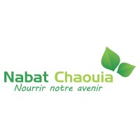 Nabat Chaouia logo - Similar company to Transparence Informatique