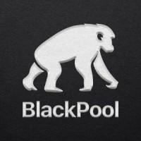 BlackPool Finance logo - Similar company to Luc Data