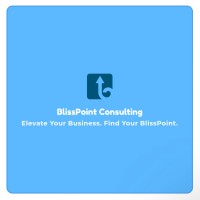 BlissPoint Consulting, LLC logo - Similar company to Prometheus HR & IO Strategies Consulting