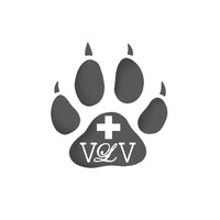 Veterinær Linn Vada