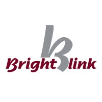 BRIGHTLINK Consultoria Empresarial logo - Similar company to Extended Disc® Brasil