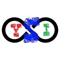 Youth for Sustainable Impact (YSI) logo - Similar company to Dame And Earl