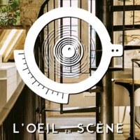 L'Oeil En Scène Opticiens logo - Similar company to Traços Fluidos Lda