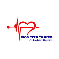 From Zero to Hero courses logo - Similar company to Chvac