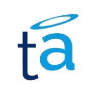 TrafficAngel logo - Similar company to Viper It Solutions