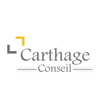 Carthage Conseil logo - Similar company to Carthage Audit