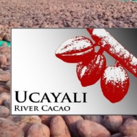 UCAYALI RIVER CACAO logo - Similar company to Sociedad Nacional De Industrias - Sede Ucayali