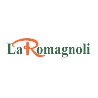 Calzaturificio La Romagnoli S.A.S. logo - Similar company to Red Calzature