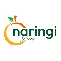 Naringi logo - Similar company to Apa Tv