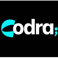 Codra Tech logo - Similar company to Devrise