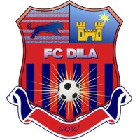 FC Dila Gori logo - Similar company to Stari World