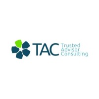 Trusted Advisor Consulting logo - Similar company to Frontier Advisors Limited