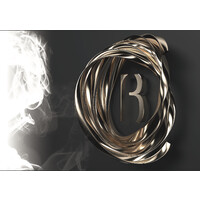 Billionaire Homes logo - Similar company to Vikas Builders