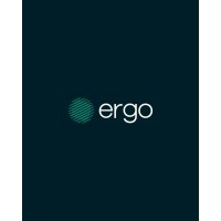 Ergo Energia Inteligente logo - Similar company to Dalmoro Goar Equipamentos Elétricos