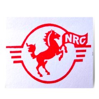 Nilesh Road Carriers logo - Similar company to Ez Solution Pvt Ltd