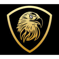 Black Valk Intelligence Security Pvt. Ltd. logo - Similar company to Sourcepro Services - Security Guard Agency