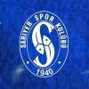 Sarıyer Spor Kulübü logo - Similar company to Forward 1919 Global Strategic Advisory  L  Brussels
