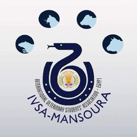 IVSA Mansoura logo - Similar company to Ivsa Damanhour