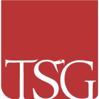 Titans Security Group logo - Similar company to Hesser Solution