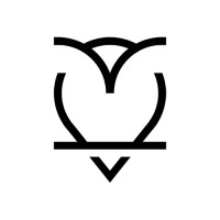 Raging Owl logo - Similar company to Modenbo Technologies