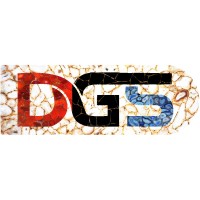 Divya Gem Stonex logo - Similar company to Subh Gemstones