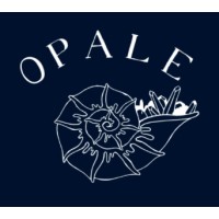 Association Opale logo - Similar company to Agi-Son