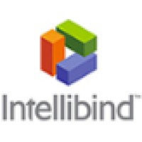 Intellibind Technologies LLC logo - Similar company to Microbrains