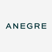 ANEGRE logo - Similar company to Maclean Bv Breda Netherlands