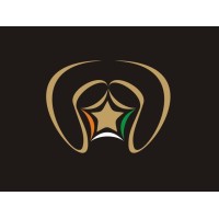 Star Enterprises logo - Similar company to Image