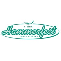 HAMMERFEST SRL logo - Similar company to Blendin