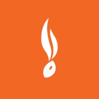 banduri logo - Similar company to Animate Cyber