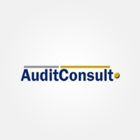 Audit Consult logo - Similar company to Outperform