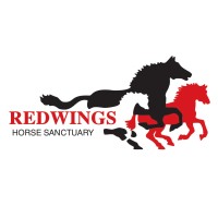 Redwings Horse Sanctuary logo - Similar company to Understand Horses
