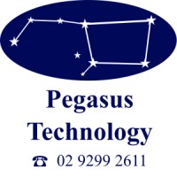Pegasus Technology logo - Similar company to Bb Networks
