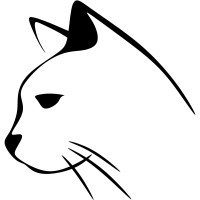 CatCam logo - Similar company to Protechstack
