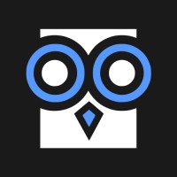 Techowl Studio logo - Similar company to Basa.Solutions