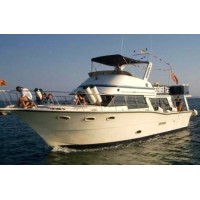 Premier Cruises Alcudia logo - Similar company to Eisner Camp