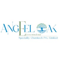 Angeel Oak Speciality Chemtech Pvt. Ltd. logo - Similar company to Bigshort