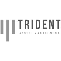 TRIDENT ASSET MANAGEMENT S.L. logo - Similar company to Virtuent
