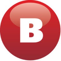BLOM Groep B.V. logo - Similar company to Metis Pps