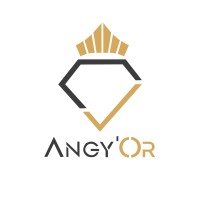ANGY'OR logo - Similar company to Servicoo