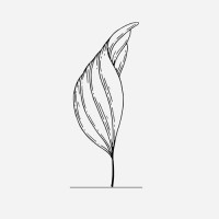 Vitality Meditation and Yoga logo - Similar company to Inkwell
