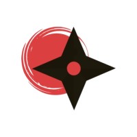 Ninjabotics logo - Similar company to Project Stem