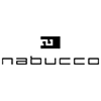 Nabucco Parfum Fin logo - Similar company to Netwise Technologies Llc