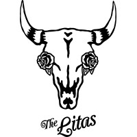 The Litas logo - Similar company to Dversfy