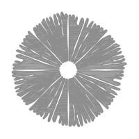 temple design studio logo - Similar company to Fleet It View