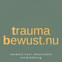 Netwerk Traumabewust logo - Similar company to Trauma Informed Academy