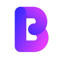 Brandis Webdesign logo - Similar company to Ayna Analytics Gmbh