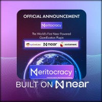 MERITOCRACY PLUGIN. A bridge between WEB2 (WordPress, 43% of Internet) and WEB3 logo - Similar company to Socialmeet The Best Meritocracy Club In The World