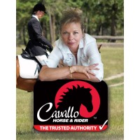 Cavallo Horse & Rider logo - Similar company to Streampeak